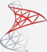 SQL Server logo